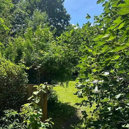 Lilly's Calm Souterrain With Garden * Graz