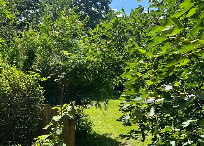 Lilly's Calm Souterrain With Garden * Graz